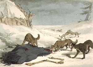 オオカミ狩り」は、「ロシア人のマナー、習慣、娯楽」の第3巻からの74枚目のプレートで、画家が彫ったもので、1804年に出版されました。1804年（アクアチント）。 作： John Augustus Atkinson