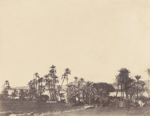 ナイル川のほとり、カラブシェ 作： John Beasly Greene