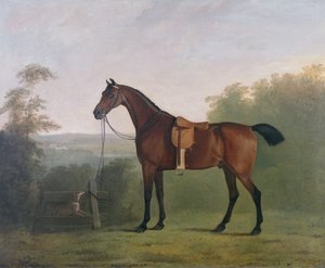 風景の中のベイハンター 作： John Boultbee