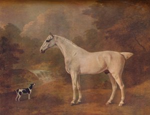ノミ噛まれた灰色と斑点テリア、1803。 作： John Boultbee