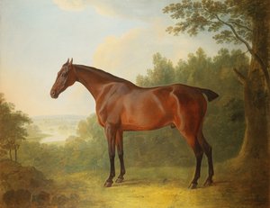 風景の中のベイハンター、マーキス、1811年 作： John Boultbee