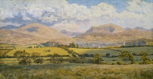 「カナーボン」、1875 作： John Brett