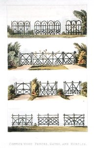 1823年に出版されたアッカーマンの「芸術のリポジトリ」に掲載されているコヤシの木のフェンス、ゲート、ハードル（カラーリトグラフ） 作： John Buonarotti Papworth