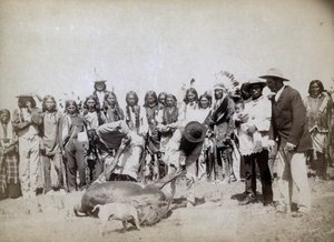 牛肉の皮剥ぎ、1891年