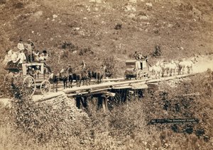 デッドウッドコーチ、1889年