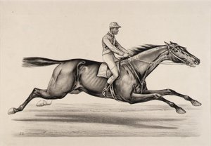 ノーフォーク皇帝 作： John Cameron