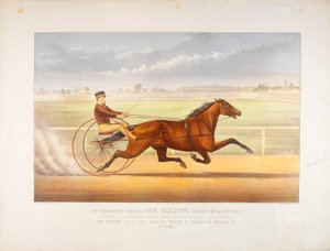 ミスター・ボナーの馬 ジョー・エリオット 作： ジョン・キャメロン