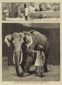 バーナム氏の白いビルマゾウToung Taloung 作： John Charles Dollman