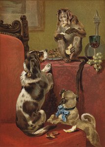 貪欲な猿 作： John Charles Dollman