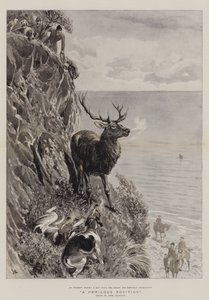 危険なポジション 作： John Charlton