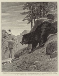 カシミアでのクマ狩り 作： John Charlton