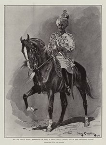 戴冠式のゲストの1人である偉大なインドの王子、Idarのマハラジャ、Hir Sir Pertab Singh