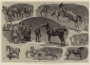 ハックニー馬協会のショーでのメモ