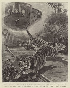タイガース・オン・ザ・ライン、東インド鉄道の旅における事件