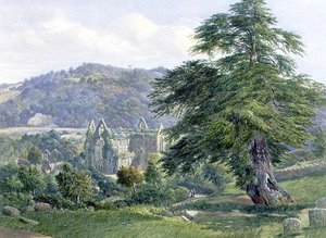ティンターン・アビーとその向こうのワイ族（水彩画） 作： John Chase
