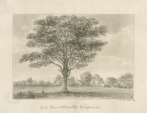 ボスコベル-ロイヤルオーク：セピア画、1820年 作： John Chessell Buckler
