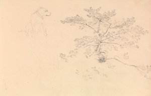 首輪をした犬と木の枝の習作 作： John Christian Schetky