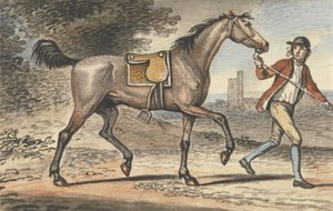 天守閣のある風景の中を駆け巡る馬を率いる馬小屋の少年（紙にトイレ）