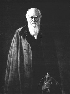 チャールズダーウィン1809-1882、1883、1912 作： John Collier