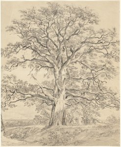 偉大な樫の木 作： John Constable