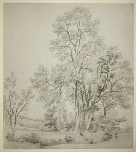 ニレの木のスタンド (直腸); 東ベルグホルトの教会との研究 (裏面) 作： John Constable