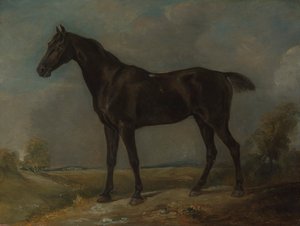 ゴールディング・コンスタブルの黒馬 作： John Constable