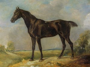 ゴールディングコンスタブルのブラックライディングホース、c.1805-10