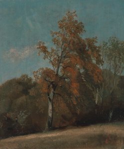 トネリコの木の習作、1801年から1803年の間、または1810年から1830年の間に描かれています。 作： John Constable