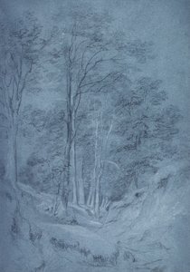灰や他の木の研究（紙に鉛筆、白いチョークで高まった） 作： John Constable