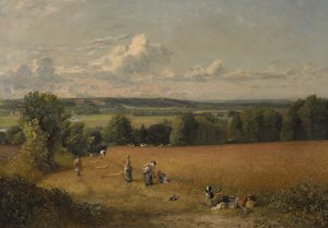 麦畑 作： John Constable