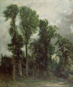 ハムステッドの木 作： John Constable