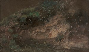 Vegetação rasteira 作： John Constable