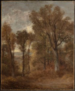  作： John Constable