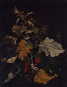 ごぼうの研究 作： John Crome