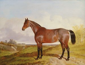 風景の中のベイハンターの研究、1854