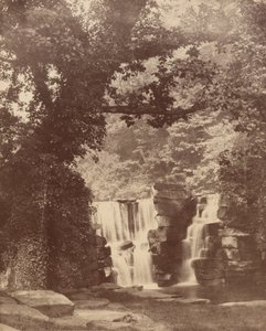 ペンラーゲア・バレーの森、アッパー・フォールズ。1852年（写真） 作： ジョン・ディルウィン・ルウェリン