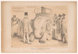 ヘンリー・ハーディンジ、インドの知事 象乗りレッスン！ 動物園で自然に学ぶ（オブジェのタイトル） HB Sketches (オブジェクトのシリーズ タイトル) 作： John Doyle