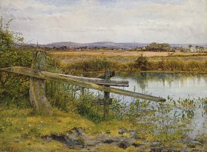 道端、1862 作： John Edward Newton