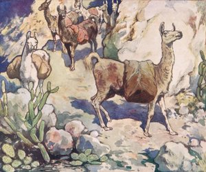 山道のアルパカ、1919年に出版されたGladys Davidsonによる「Helpers Without Hands」のイラスト（カラーリソ）