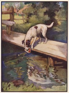 犬と影 (カラーリソ) 作： John Edwin Noble