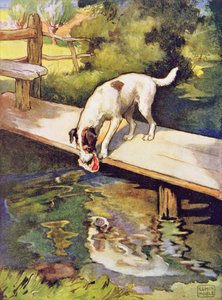 「イソップ物語」の犬と影、パブ。 Raphael Tuck & Sons Ltd.、ロンドン (挿絵)