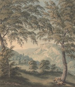 Matlock High Tor, Derbyshire 作： John Emes