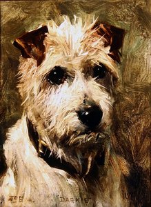 ダーキー、1903 作： John Emms
