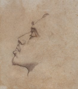 ダンテガブリエルロセッティ（1828-82）の肖像画の頭 作： John Everett Millais