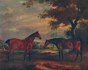 ヨークシャーハンターズアットグラス、c1840、1922 作： John Ferneley