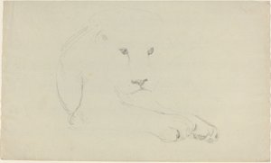 ライオン 作： John Flaxman
