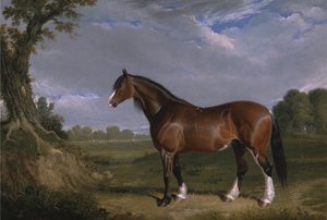 クライズデール種牡馬 作： John Frederick Herring