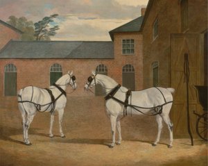 Grey carriage horses in the coachyard at Putteridge Bury, Hertfordshire   1433178   ja       japanese Successfully Translated  Original: Illustration from A Midsummer Nights Dream with fairies and a man with an asss head. Translat: Illustration from A Mids 作： John Frederick Herring