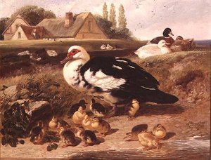 アヒルと鴨の子 作： John Frederick Herring Jnr