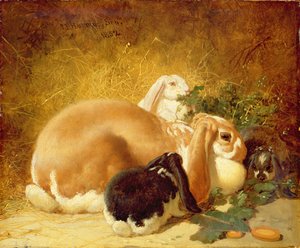 ウサギ、1852 作： John Frederick Herring Junior